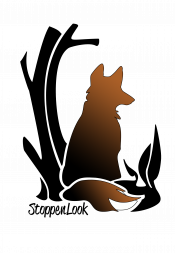 Wilna Clark-Gerami (StoppenLook™) “Stop and Look” Banner