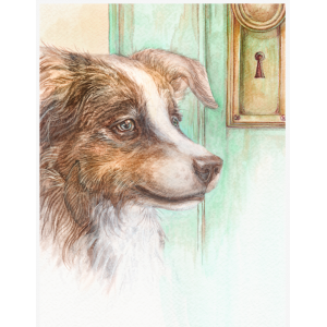 Bandit - Book Illustration for Christmas Star Power